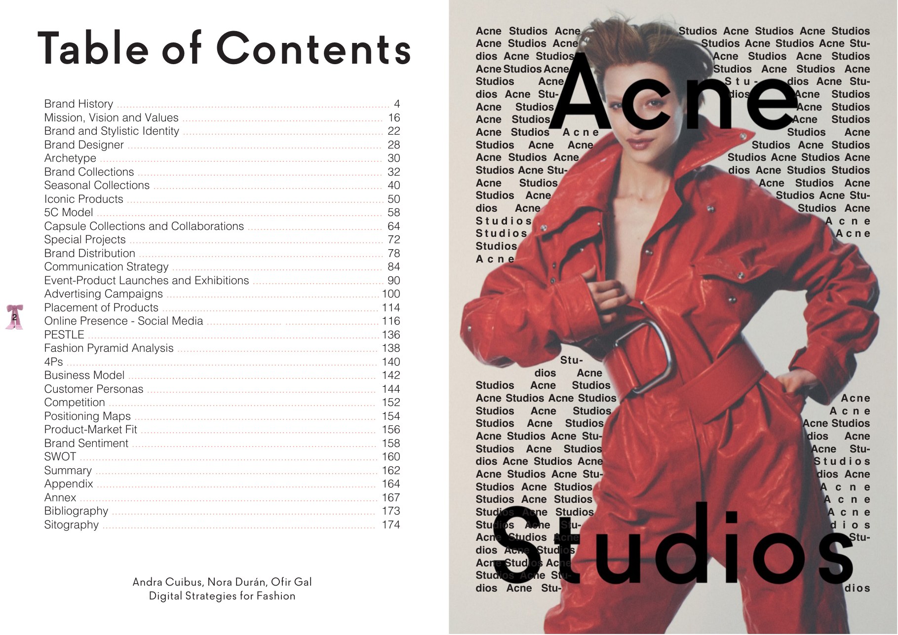 Acne Studios project research framework