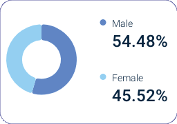Casablanca website audience analysis